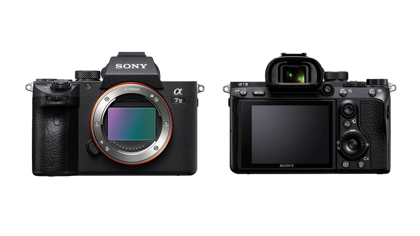▷ SONY a7 III, la cámara ideal para cualquier fotógrafo